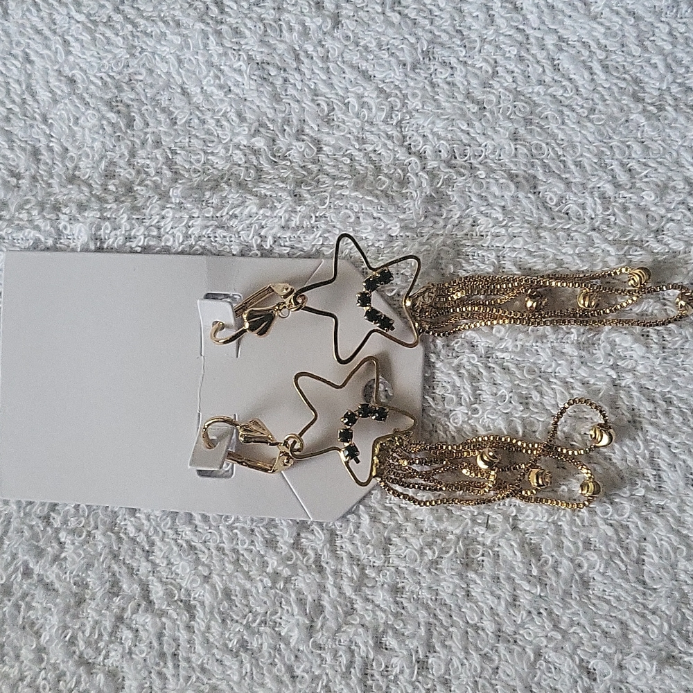 Earrings